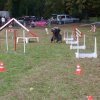 foire-haricots 2011-09-17et18
